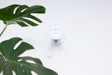 Load image into Gallery viewer, Toilet Paper Holder